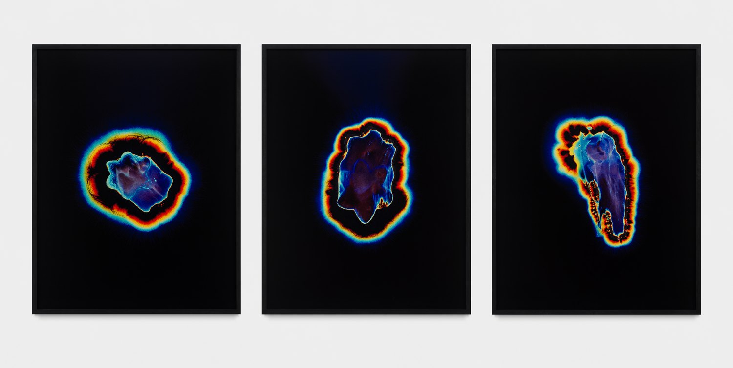 Jeremy Shaw Unseen Potential (San Pedro, a.7–a.9), 2024 Kirlian photograph triptych, 129 x 312 x 6 cm