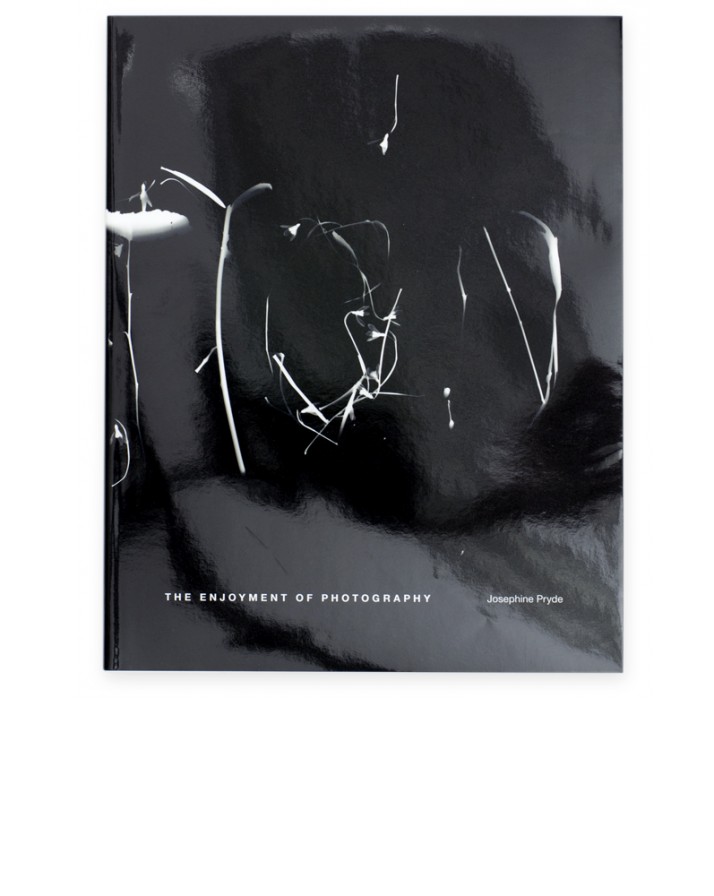 Josephine Pryde The Enjoyment of Photography Galerie Neu