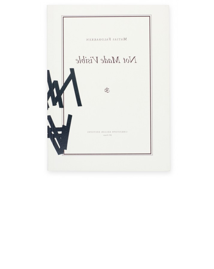 Matias Faldbakken Not Made Visible Galerie Neu
