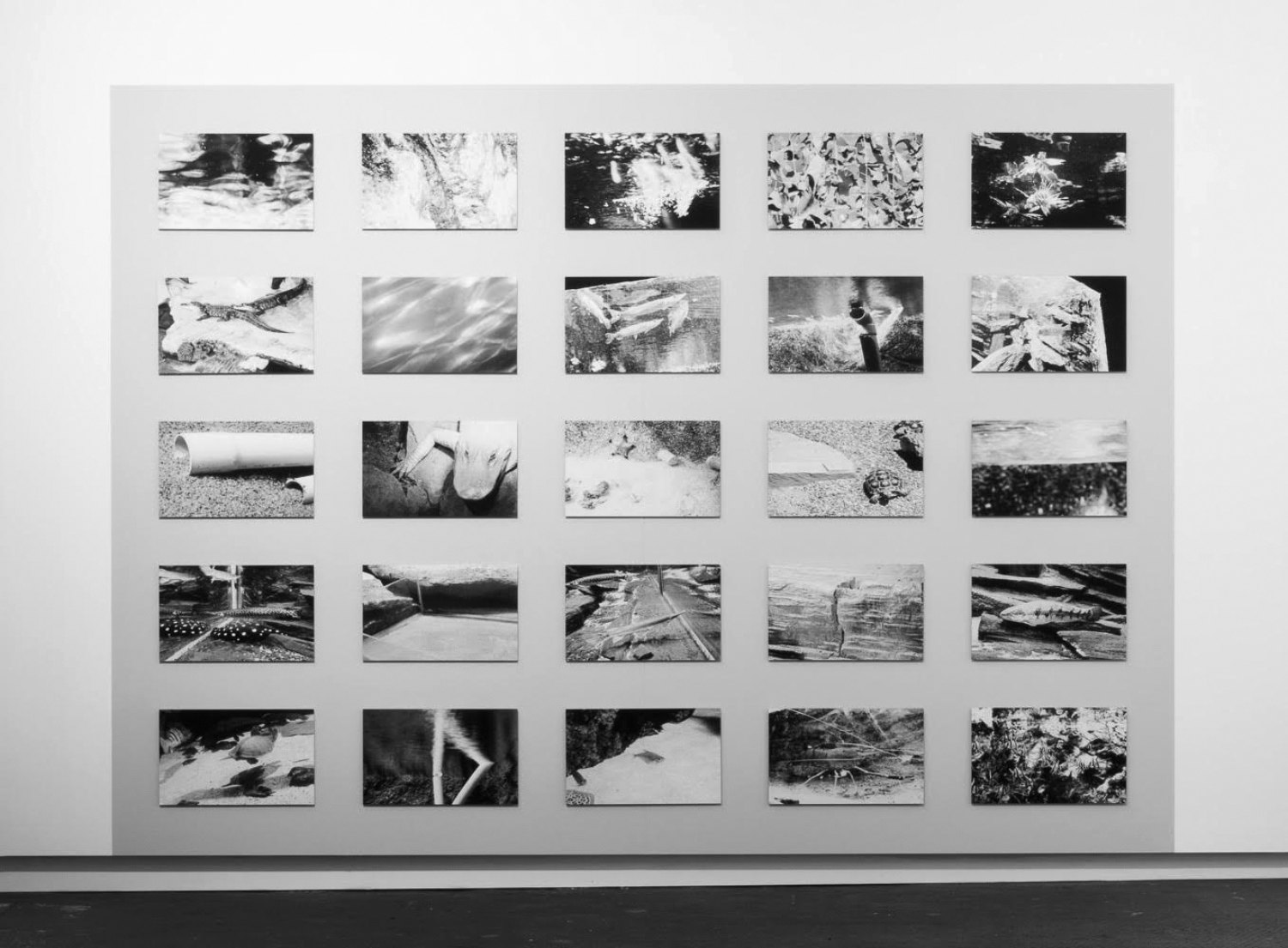 Sean Snyder Mnemonic Equation (Level 3), 2016 25 b/w archival pigment prints on matte paper mounted on 3 mm aluminum, 30 x 48.5 cm, installed on wall painted RAL 7047, 240 cm high x 332.5 cm wide  