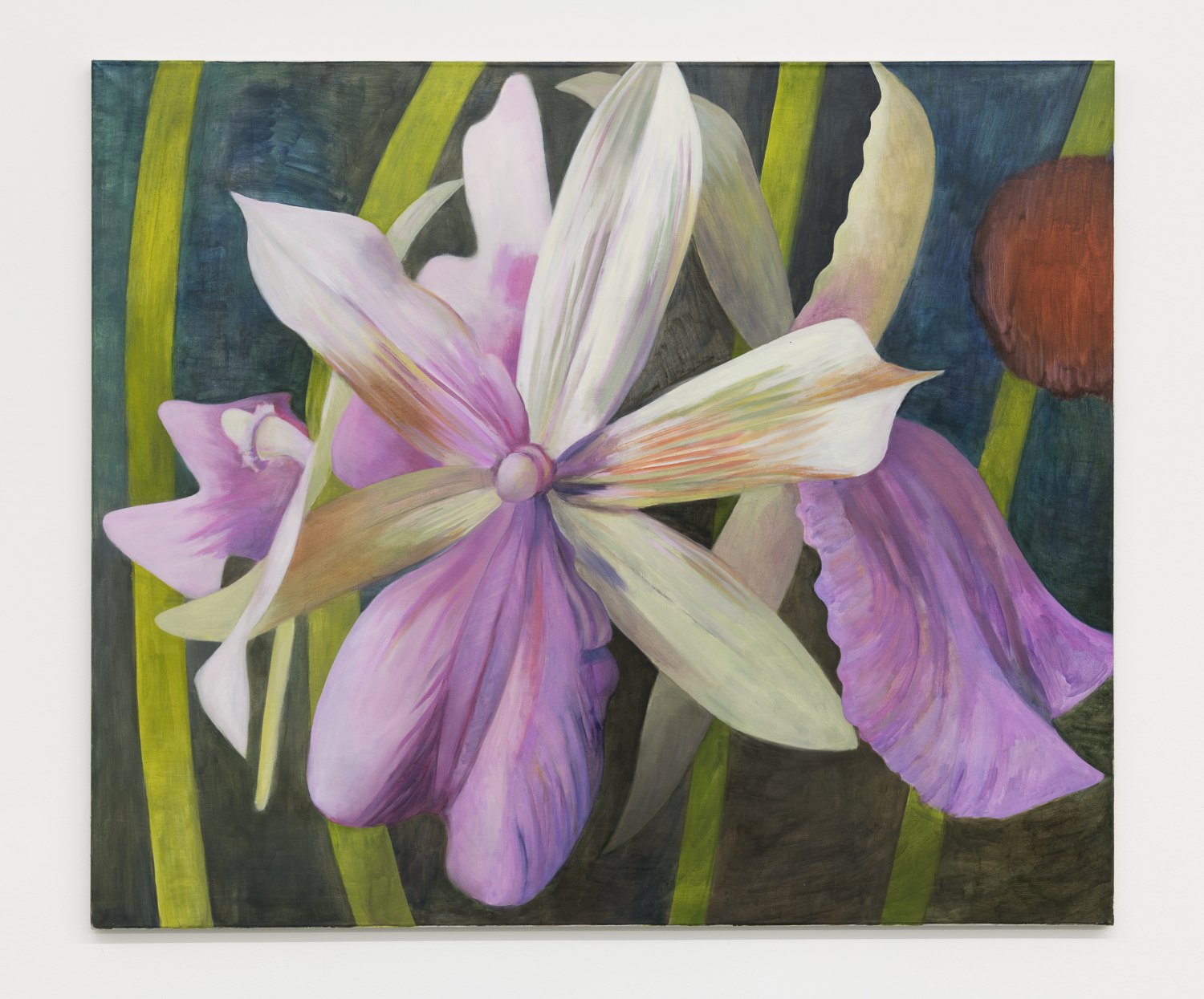Birgit Megerle  Orchid Nr. 1, 2016 Oil on linen, 130 x 110 x 2,5 cm  