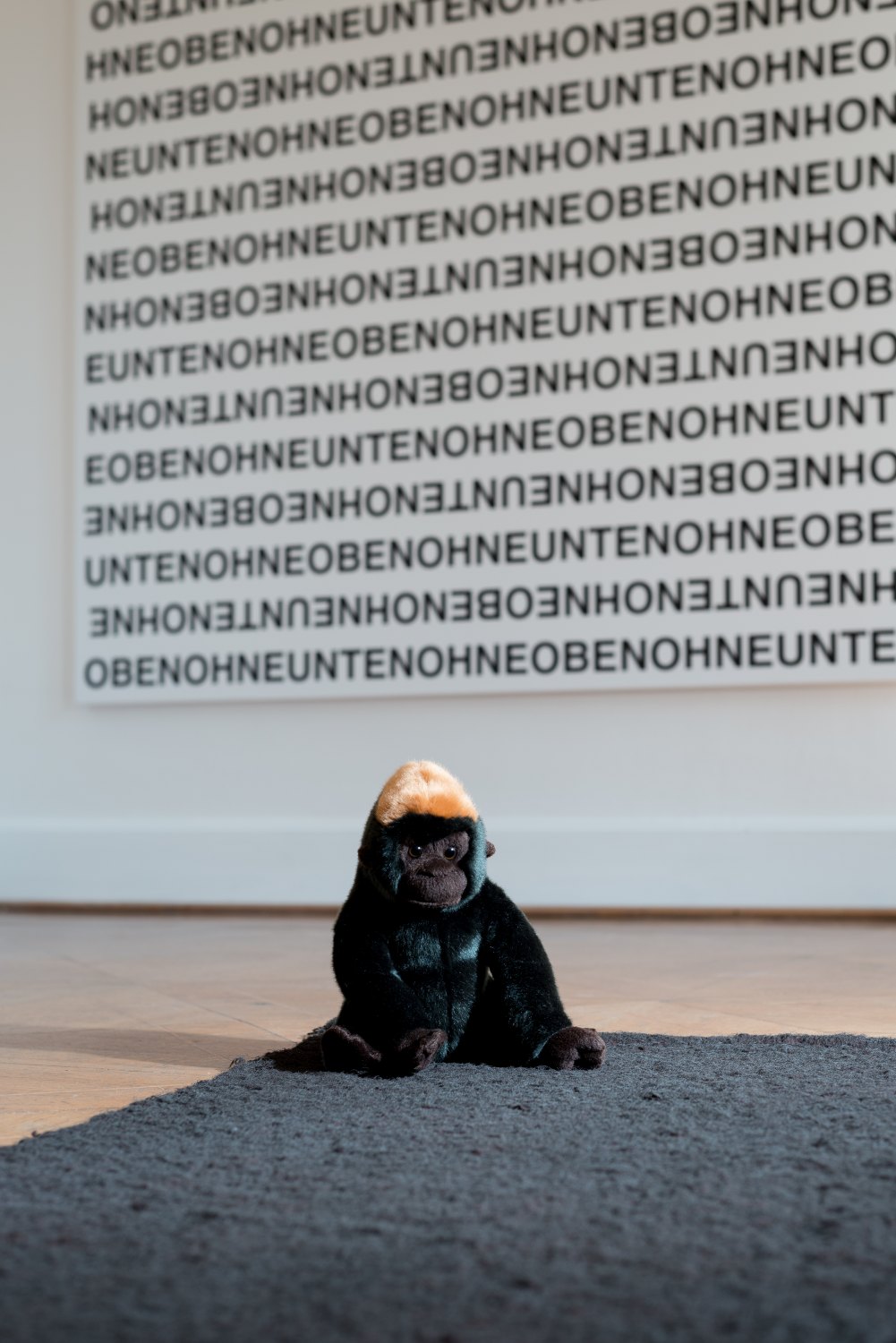 Karl Holmqvist Untitled (Arena), 2016 (detail) Stuffed animals on blanket, 19 x 132 x 138 cm 