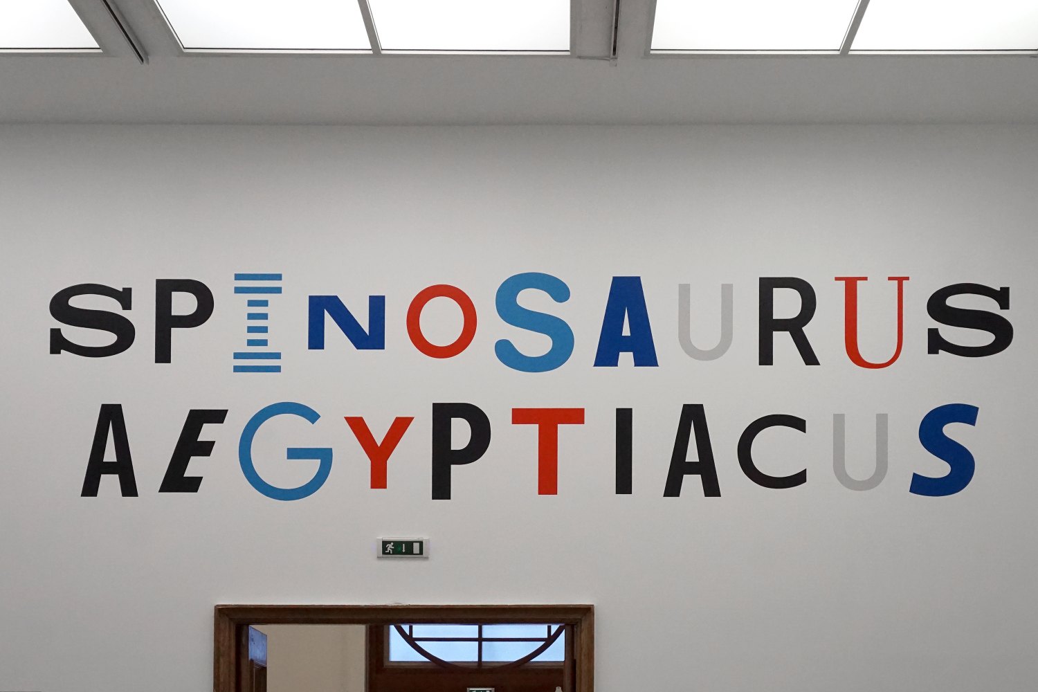 Sean Snyder Spinosaurus Aegyptiacus (Visual Identity), 2018 Painted wall (RAL 3020, RAL 5012, RAL 5017, RAL 7047, RAL 9017), 135 x 500 cm