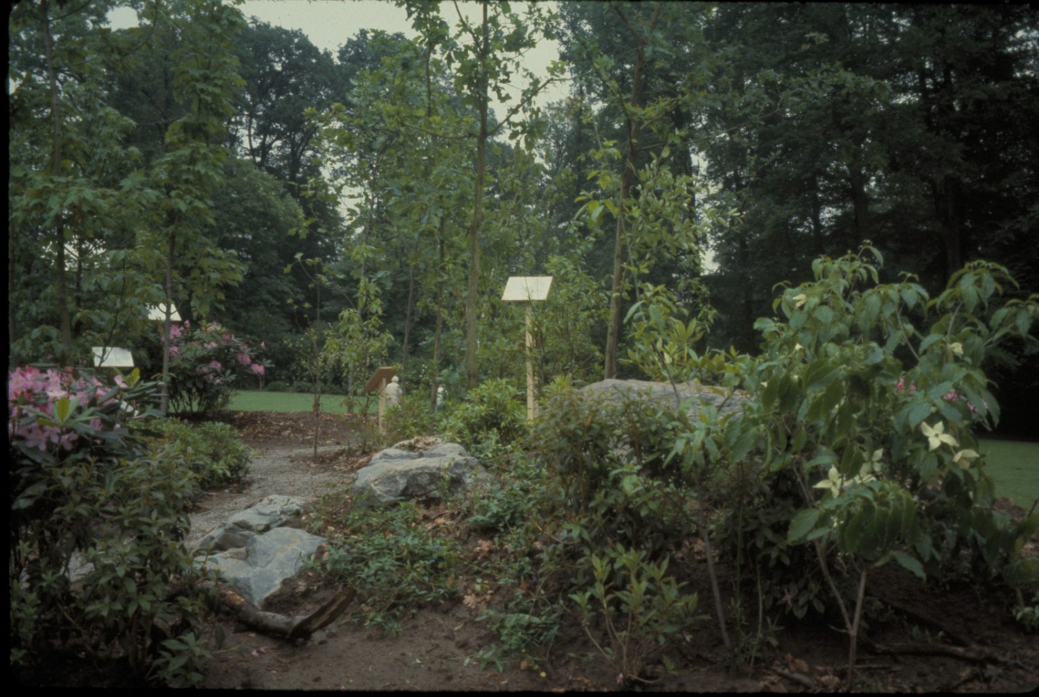 Tom Burr An American Garden, 1993  Installation view, Sonsbeek Park, Arnherm, Netherlands