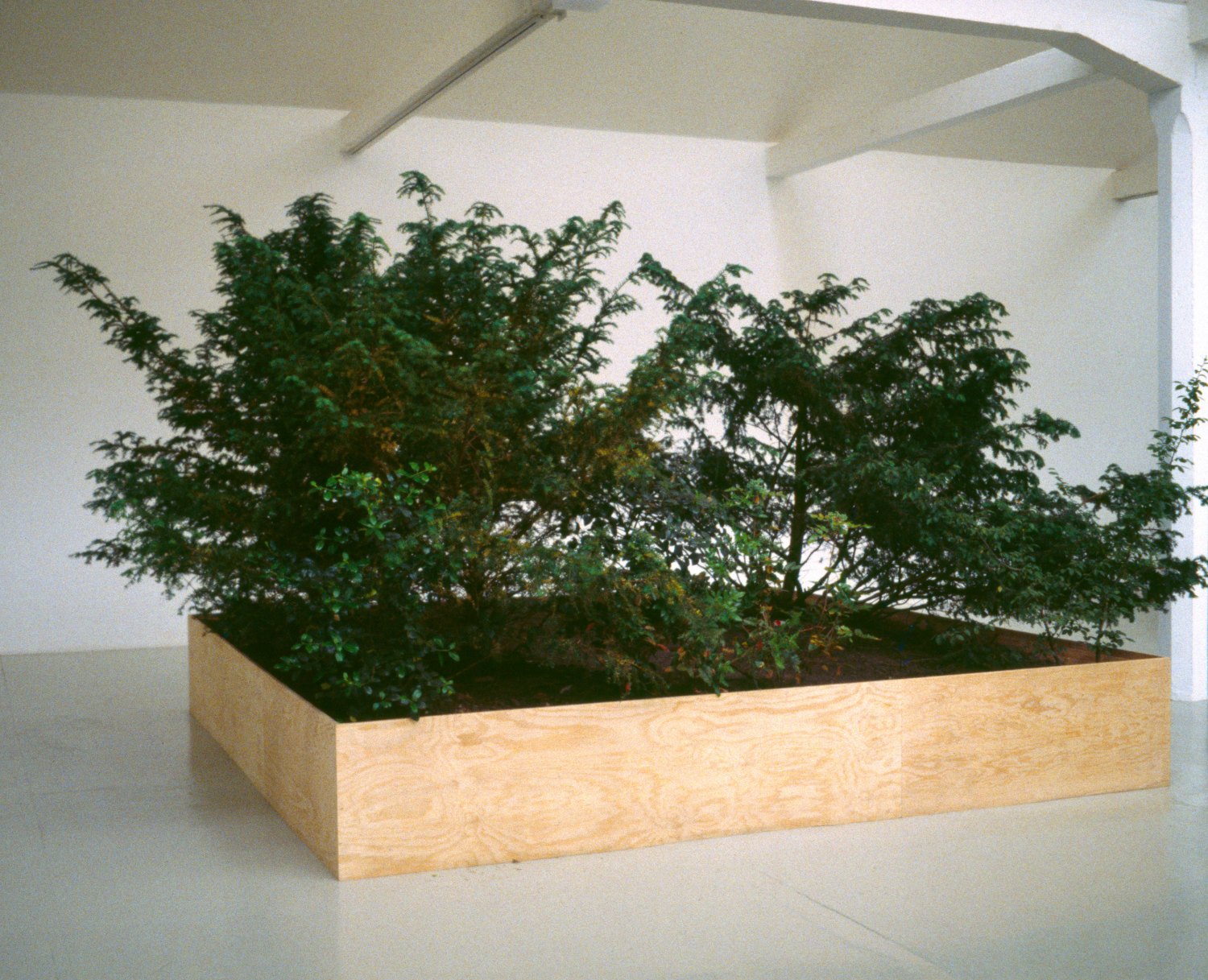 Tom Burr  Circa ’77, 1995 Wood, soil, trees, found objects Installation view, Kunsthalle Zürich, 1995
