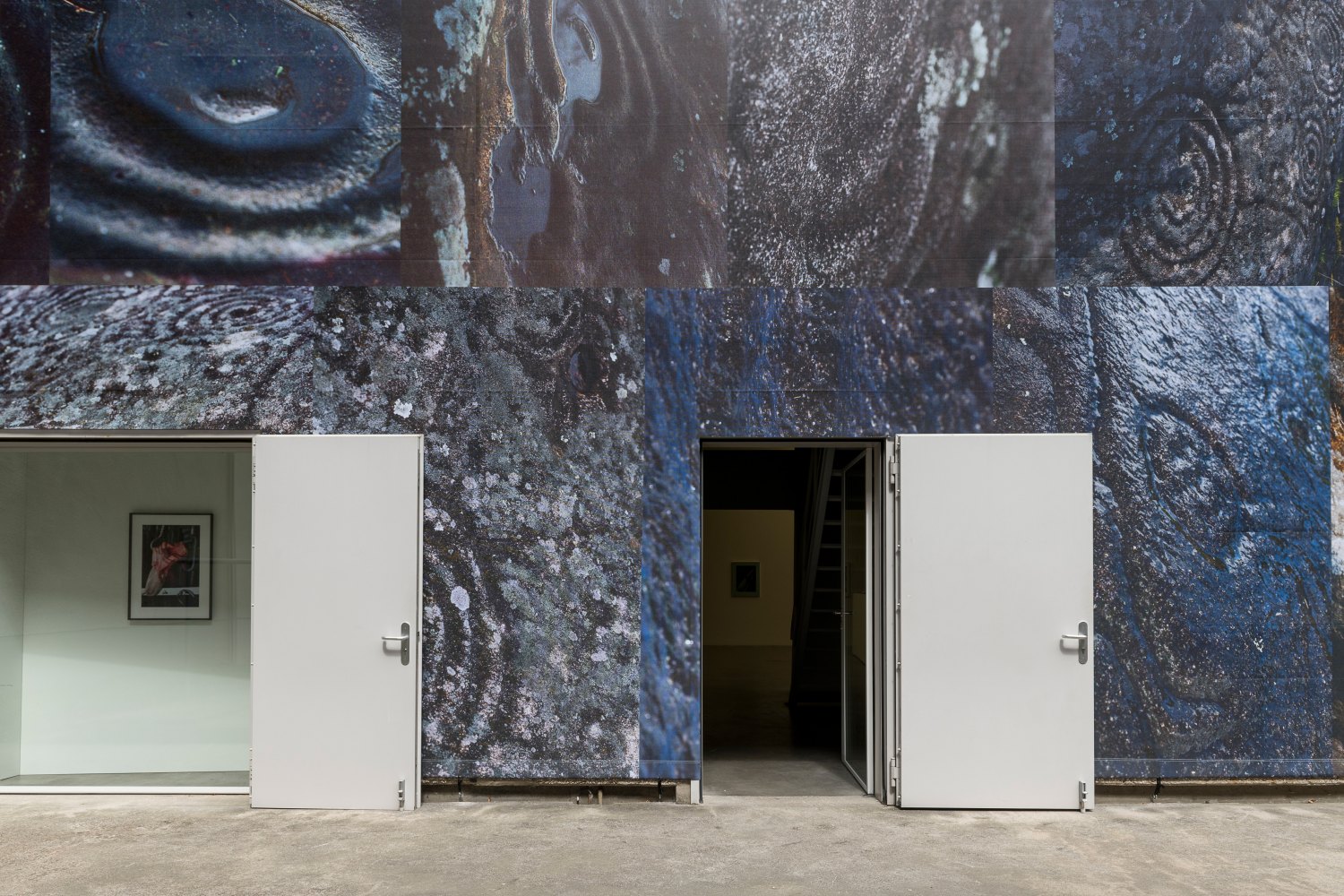 Installation view, Josephine Pryde, Exterior, Night, Day, Galerie Neu, Berlin 2020