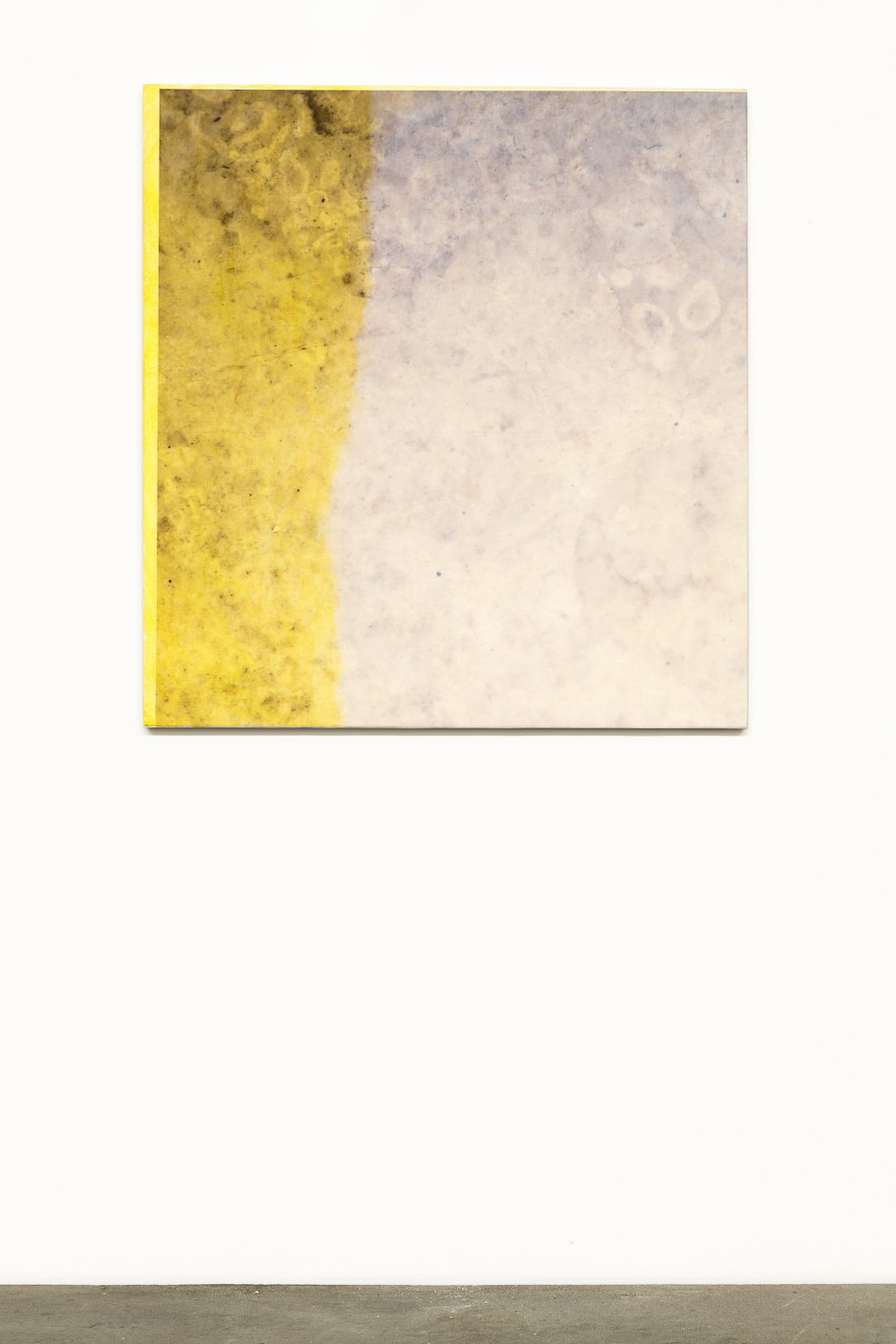 Sergej Jensen Kitty Kat, 2020 Oil and UV print on sewn linen, 102 x 96 x 3 cm