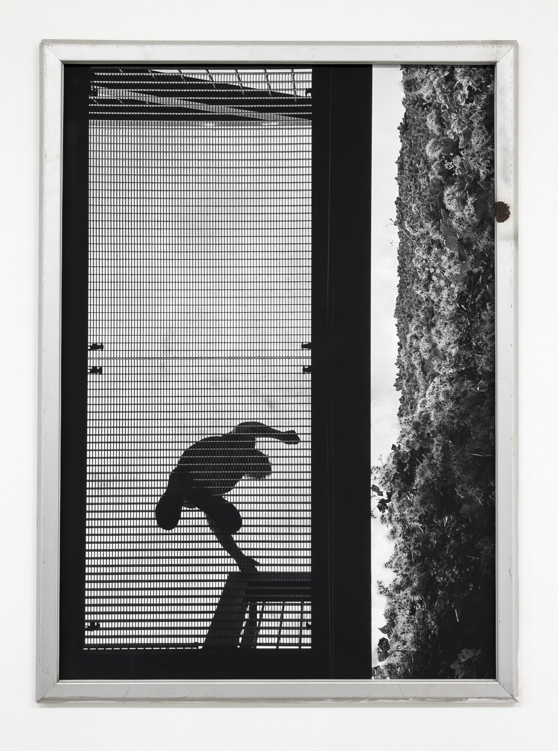 Klara Lidén Untitled (Mesh), 2023 inkjet print, found poster frame 90 x 66 x 1.5 cm