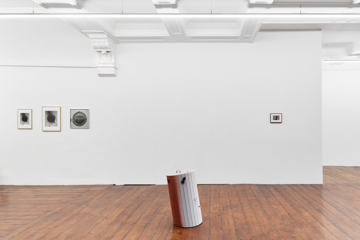 Installation view, Manfred Pernice & Megan Plunkett, >anticorpo<, 2024