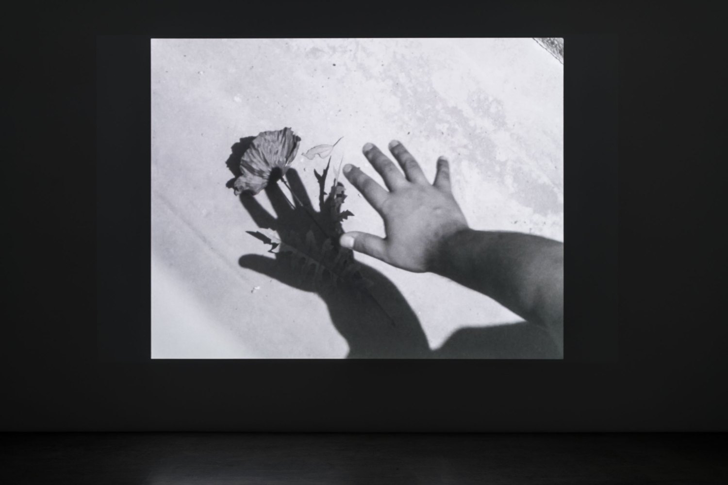 Karl Holmqvist&nbsp; L.A. SHADOWPLAY (Meshes of The Mackey Apartments),&nbsp;2024 - 25 b/w silent/sound film, 22 mins 53 secs