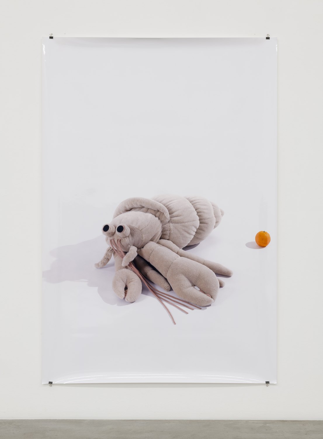 GEFUEHLE DELEGIEREN,&nbsp;2014&nbsp;C-print185 x 126 cm