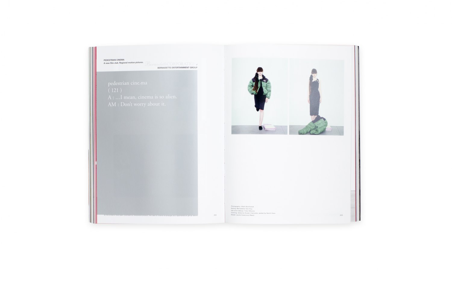 Bernadette Corporation, 2000 Wasted Years  ed. by Bernadette Corporation, Cologne 2014, 400 p. ISBN 978-3-86335-569-2