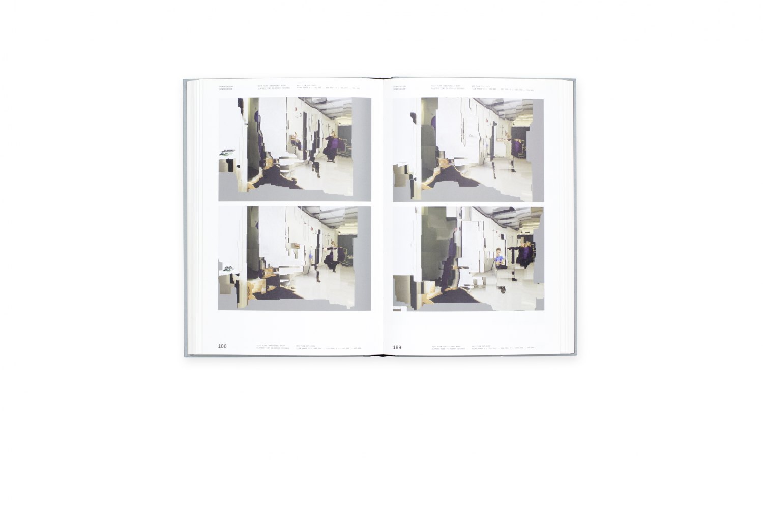 Florian Hecker, Chimerizations introd. by Catherine Wood, New York 2013, 304 p.  ISBN 978-0-98513-642-0