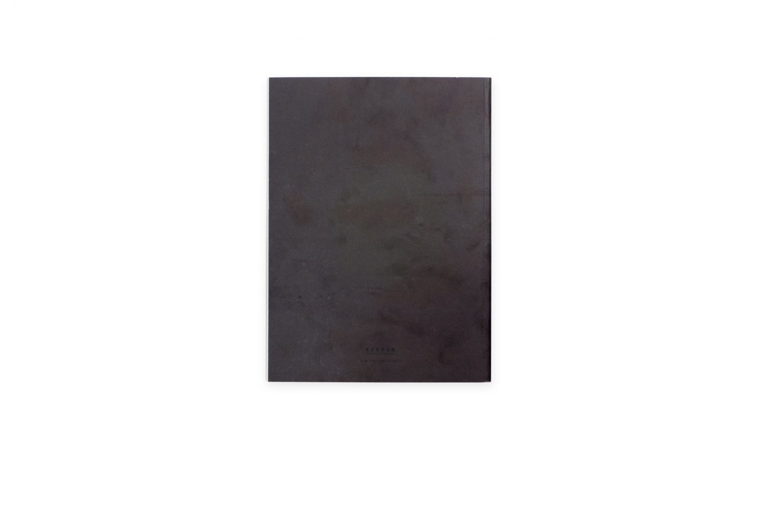 Kitty Kraus, Blauorange Preis  Catalogue, Kunstverein, Heilbronn 2008. 167 p.  ISBN 978-3-86678-327-0