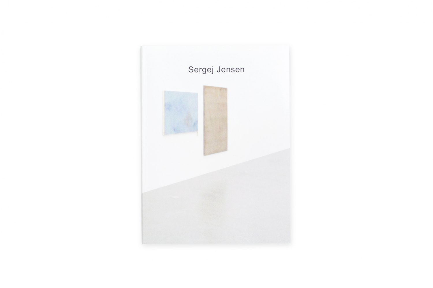 Sergej Jensen, Sergej Jensen ed. by Uta Grosenick, Berlin 2011, 300 p.  ISBN 978-3-94240-506-5
