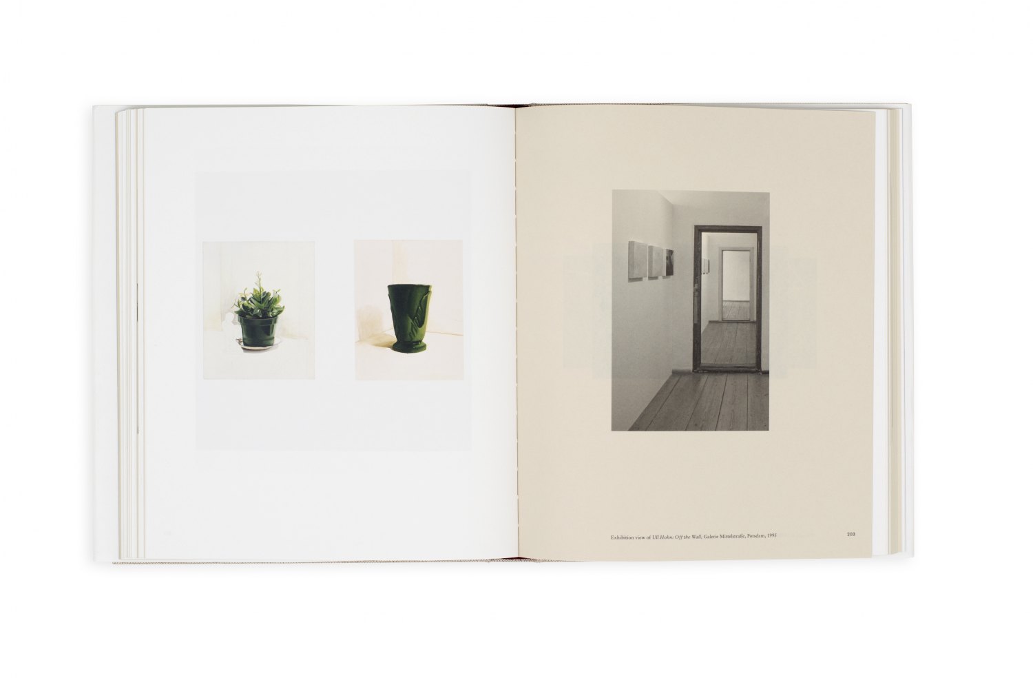 Ull Hohn, Foregrounds, Distances Edited by Hannes Loichinger, Magnus Schaefer, Catalogue, Sternberg Press, Berlin 2015, 332 p. ISBN 978-3-956791-56-7