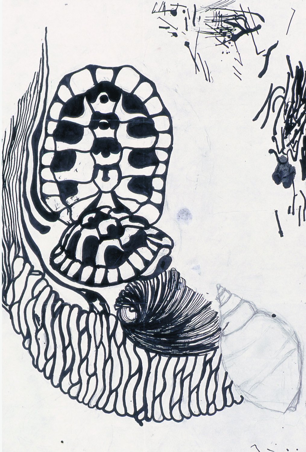 Ull Hohn Untitled, 1978,  Ink on paper, 41.91 × 27.94 cm